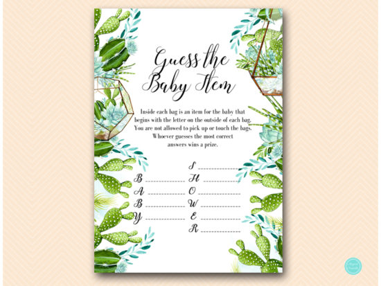 tlc519-guess-the-baby-item-succulent-baby-shower-game