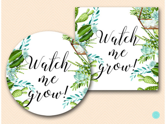 sn519-2-inches-watch-me-grow-succulent-baby-shower-favor-tags