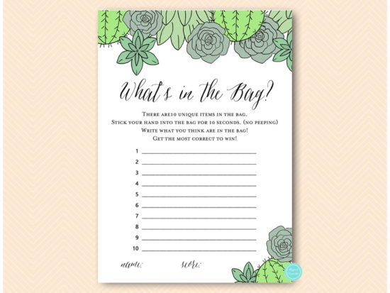 bs597-whats-in-bag-succulent-bridal-shower