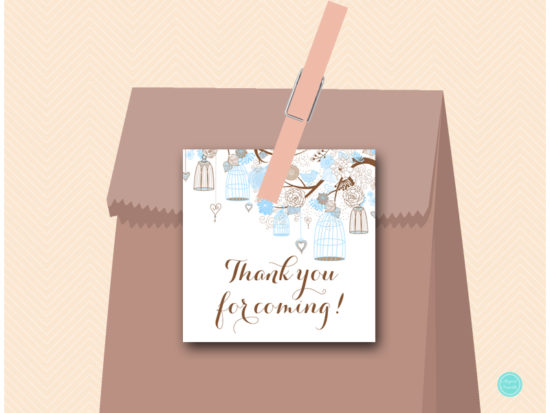 sn456-square-tags-thank-you-blue-birdcage-decoration-favors