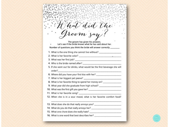 bs541-what-did-groom-say-a-silver-confetti-bridal-shower-hen-party