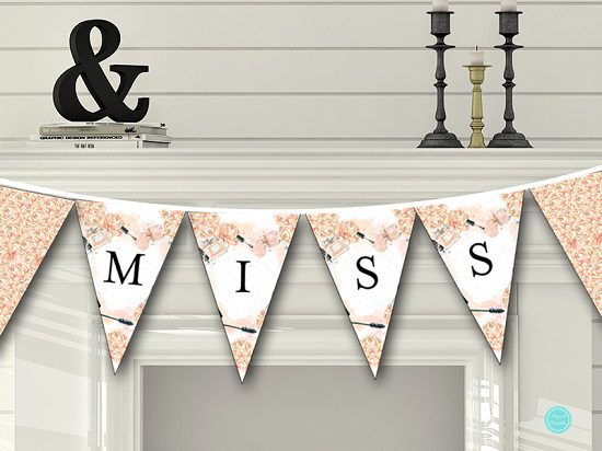 sn518-banner-parisian-party-banner-miss-to-mrs-banner