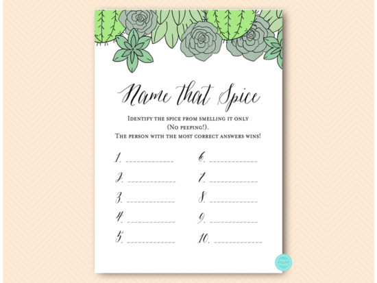 bs597-name-that-spice-succulent-bridal-shower