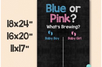 sn29-gender-reveal-cast-your-vote-poster-5