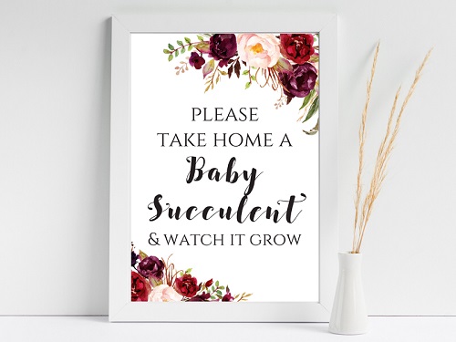 boho-succulent-baby